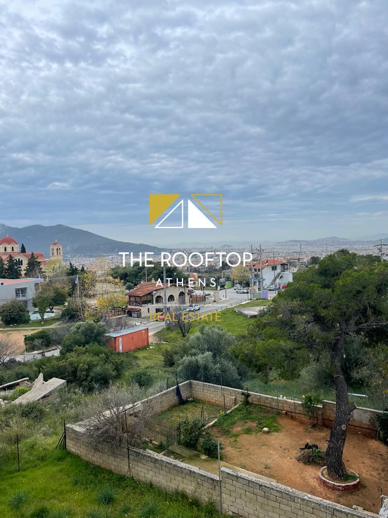 Anthousa : Detached house 190 sqm