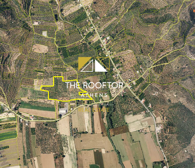 Gytheio : Land  (79.500 sqm)